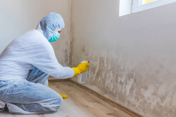 Crawl Space Mold Remediation treatment of floor joists in Dover